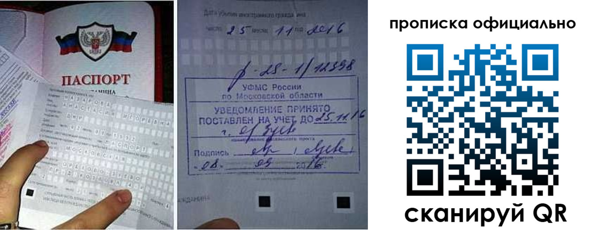 прописка паспорт в Камешково